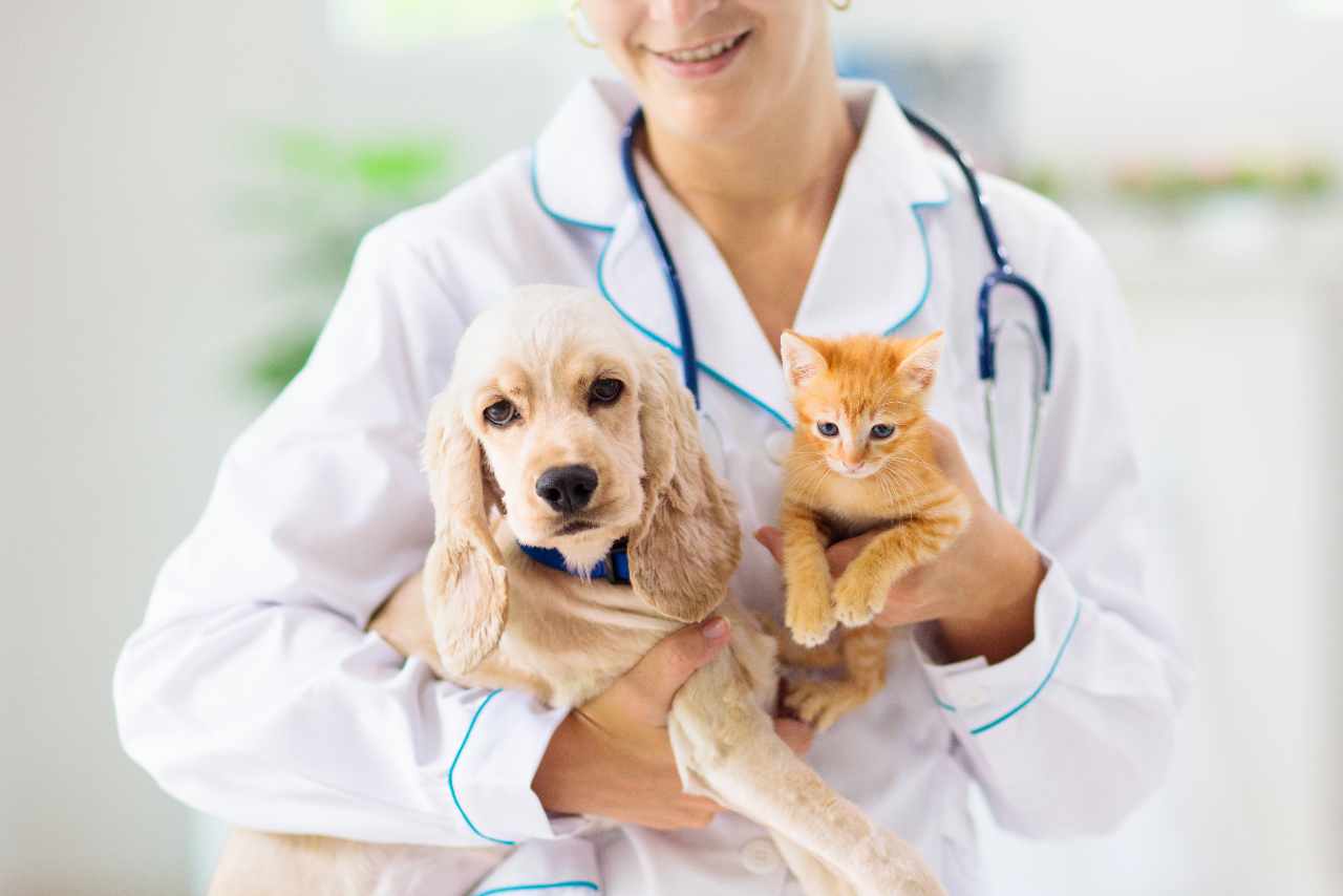 rimborso spese mediche e veterinarie (foto Adobestock)