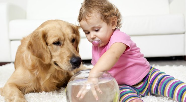 quanto costa avere un cane