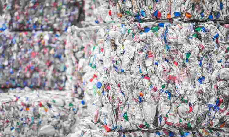 Ad aprile non potrai acquistare più piatti, bicchieri e contenitori di plastica