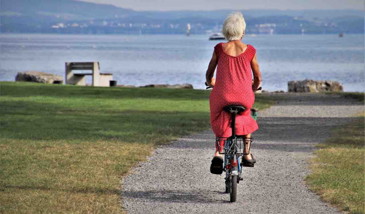 Aumento dello stipendio ed avanzamenti di carriera. Ecco le riforme pensioni di Tridico e Raitano