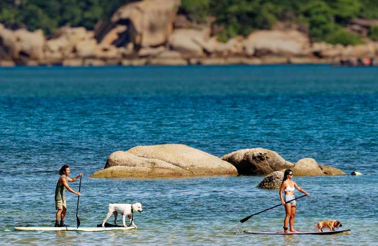 Passaporti, come devi sapere quest'anno prima di partire per le vacanze